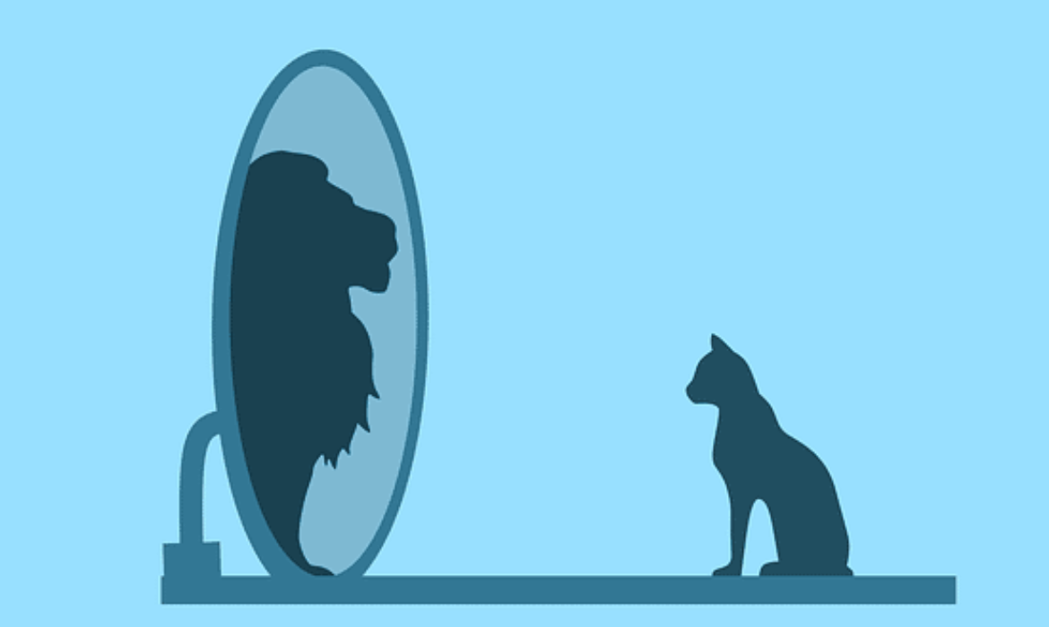 Mirror Mirror on the wall, can HR help fight imposter syndrome for them all?